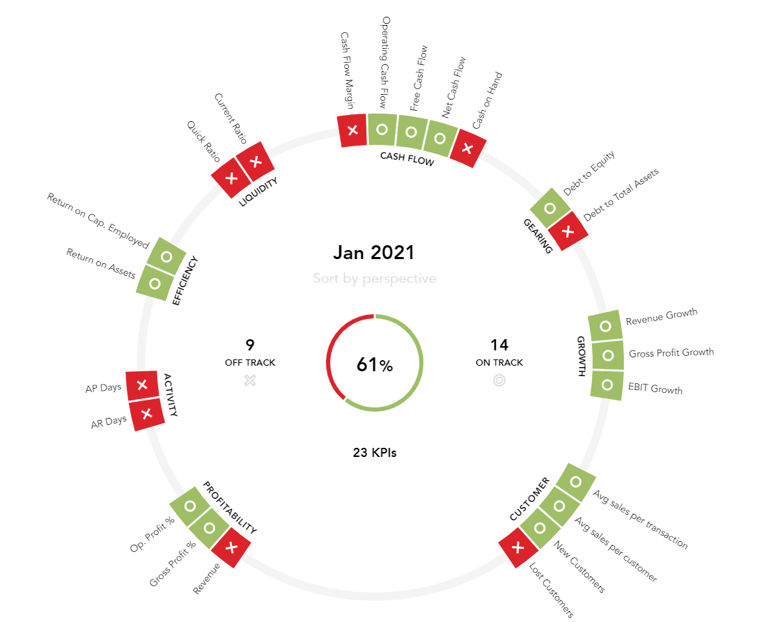 Wheel of KPI graphic